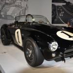 Peterson_116 (July 28, 2019)